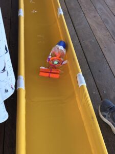 Img 3671